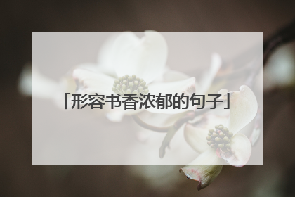 形容书香浓郁的句子