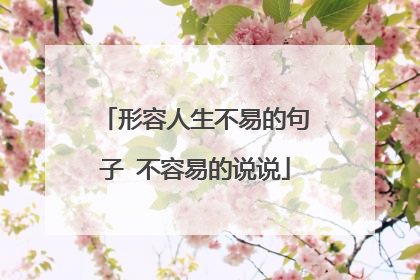 形容人生不易的句子 不容易的说说