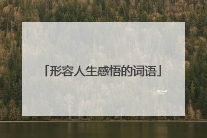 形容人生感悟的词语