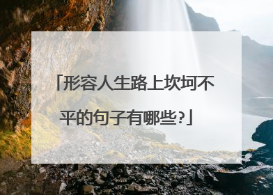 形容人生路上坎坷不平的句子有哪些?