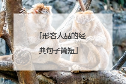 形容人品的经典句子简短