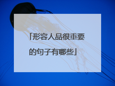 形容人品很重要的句子有哪些