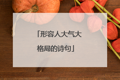 形容人大气大格局的诗句