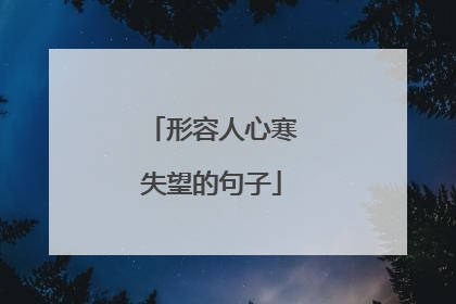 形容人心寒失望的句子