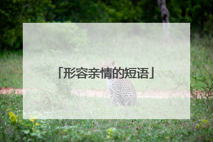 形容亲情的短语