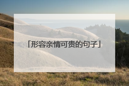 形容亲情可贵的句子