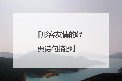 形容友情的经典诗句摘抄