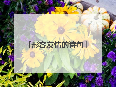 形容友情的诗句