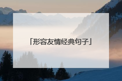 形容友情经典句子