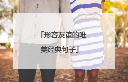 形容友谊的唯美经典句子