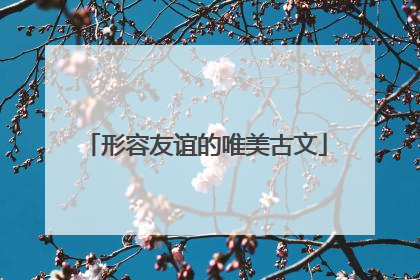 形容友谊的唯美古文