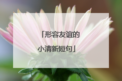 形容友谊的小清新短句
