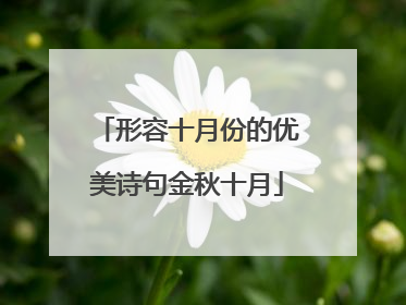 形容十月份的优美诗句金秋十月