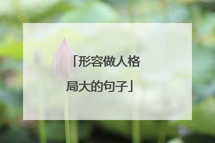 形容做人格局大的句子