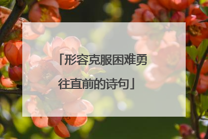 形容克服困难勇往直前的诗句