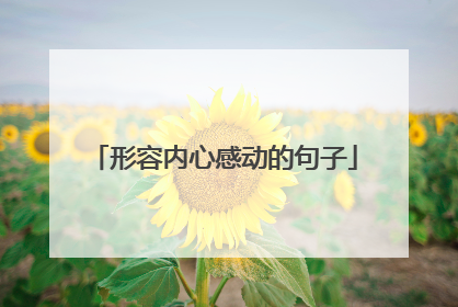 形容内心感动的句子