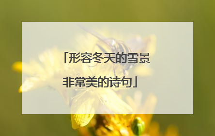 形容冬天的雪景非常美的诗句