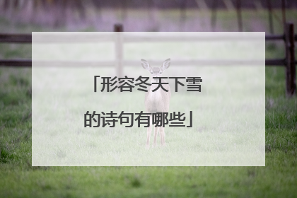 形容冬天下雪的诗句有哪些