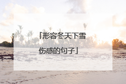 形容冬天下雪伤感的句子