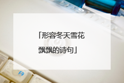 形容冬天雪花飘飘的诗句