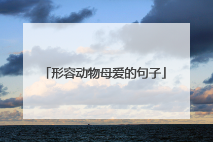 形容动物母爱的句子