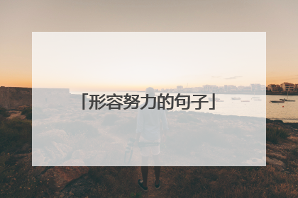 形容努力的句子