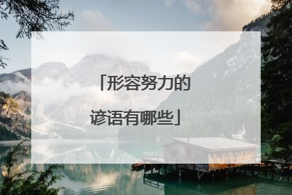 形容努力的谚语有哪些