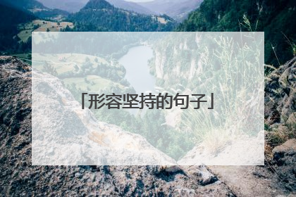 形容坚持的句子
