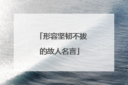 形容坚韧不拔的故人名言