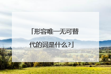 形容唯一无可替代的词是什么?