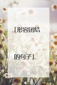 形容团结的句子