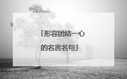 形容团结一心的名言名句