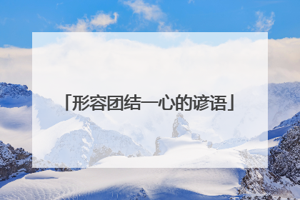 形容团结一心的谚语