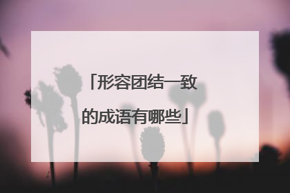 形容团结一致的成语有哪些
