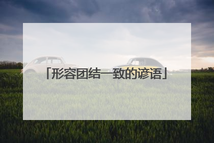 形容团结一致的谚语