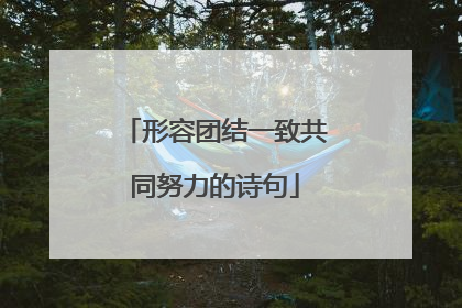 形容团结一致共同努力的诗句