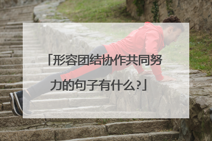 形容团结协作共同努力的句子有什么?