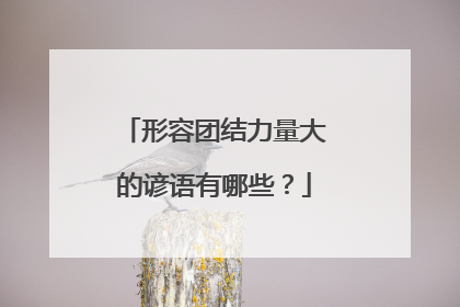 形容团结力量大的谚语有哪些？