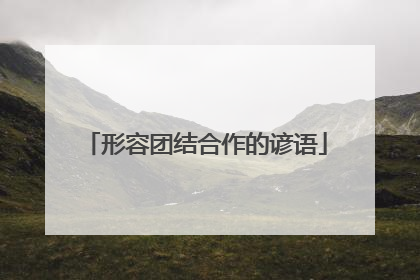 形容团结合作的谚语