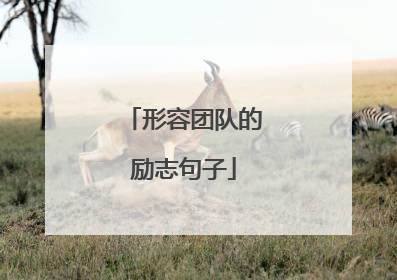 形容团队的励志句子