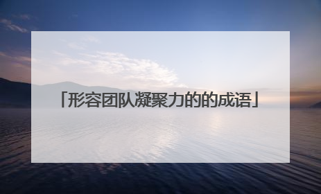 形容团队凝聚力的的成语