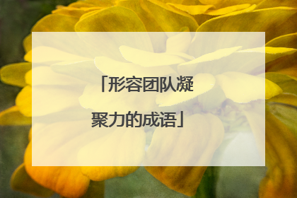 形容团队凝聚力的成语