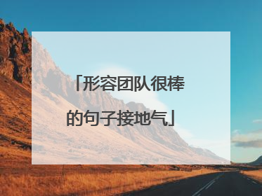 形容团队很棒的句子接地气