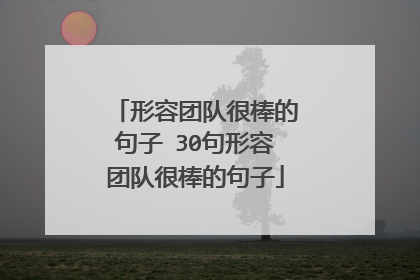 形容团队很棒的句子 30句形容团队很棒的句子