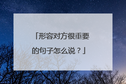 形容对方很重要的句子怎么说?