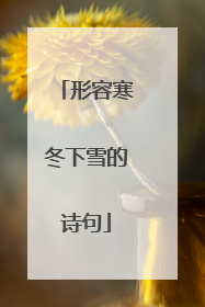 形容寒冬下雪的诗句