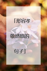 形容孝敬感恩的句子