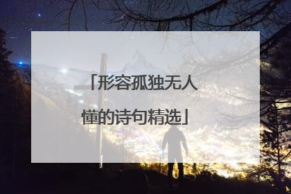 形容孤独无人懂的诗句精选