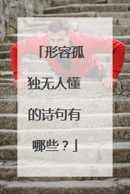 形容孤独无人懂的诗句有哪些？