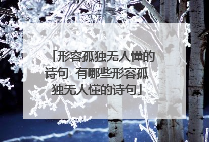 形容孤独无人懂的诗句 有哪些形容孤独无人懂的诗句